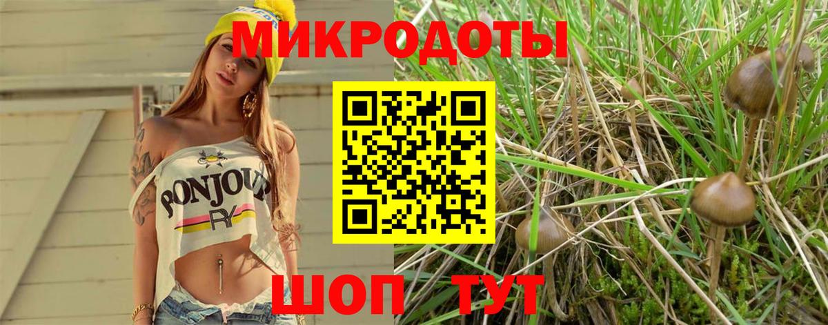 Псилоцибиновые грибы мухоморы  Вход с VPN  Бузулук 